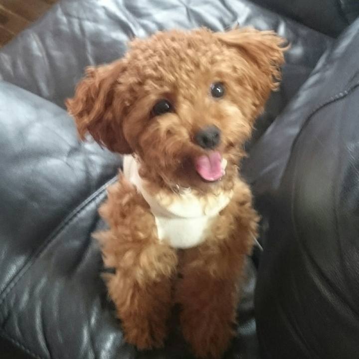 6e5d15f6 3df1 4a96 bf00 d8ad9cb3f20b