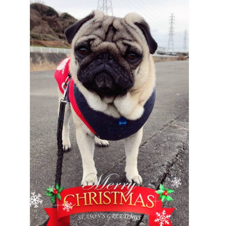 6e5d57db 5c1c 4594 bfb0 226ca7c73375