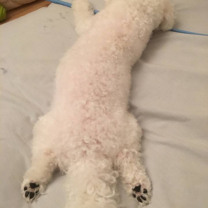 6e5daf29 b390 478a ba99 525b36c87e6f