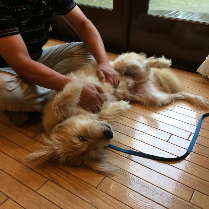 6e5df2b2 694b 4519 9d78 129163b90563