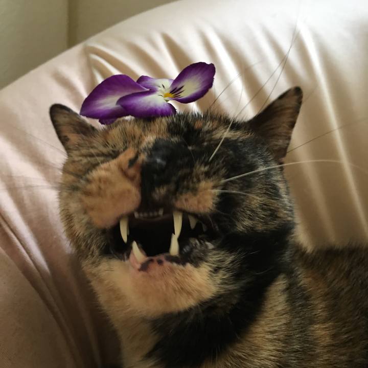 6e5e0147 d1bb 412b 8fe3 4f9880bcfebd