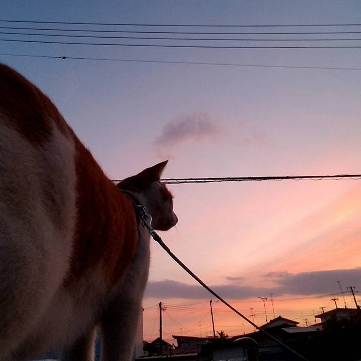 6e5f2142 2f47 430a b9b3 004455860e06