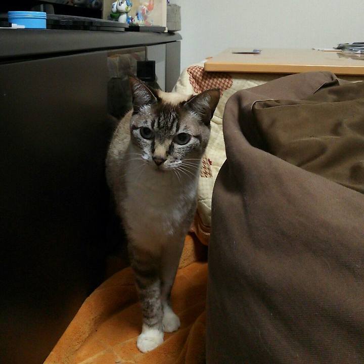 6e6003fd 14b3 469e 90cc 177312573a88