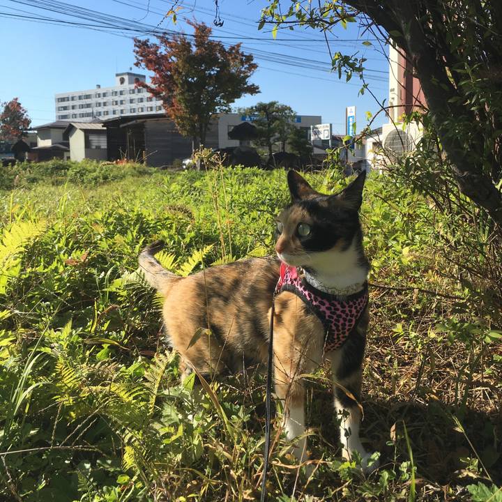 6e604695 8d38 4801 a0a3 f43ab102337a