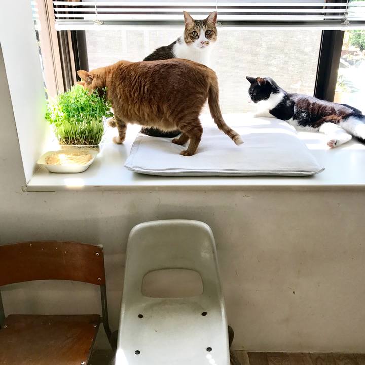 6e6169ff 61c6 4860 bd0c c0edbec8b206