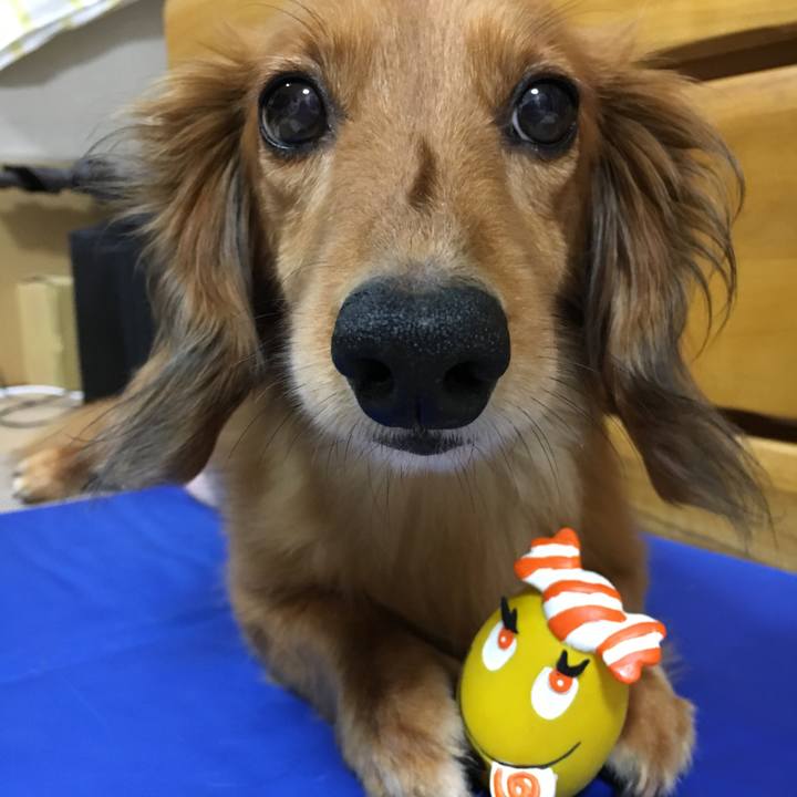 6e6177c7 43f1 425d a44d aab045c1a800