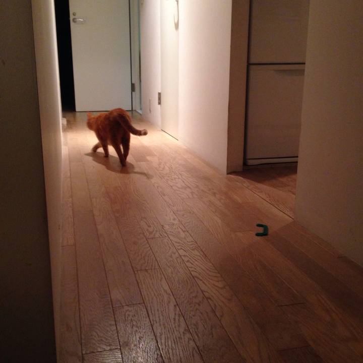 6e62c646 d59a 4142 86f8 c803d2723c90