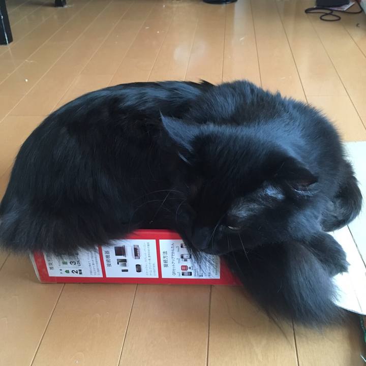 6e62da48 3b6a 43e3 9e88 8c730db5d10f