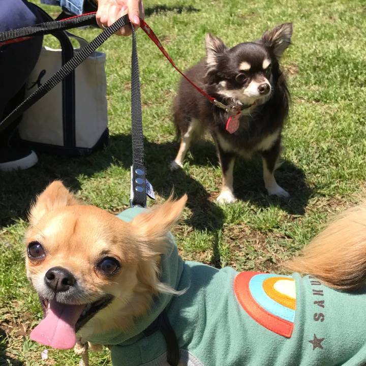 6e63656b 6b4d 488c ba13 f8b716914d90