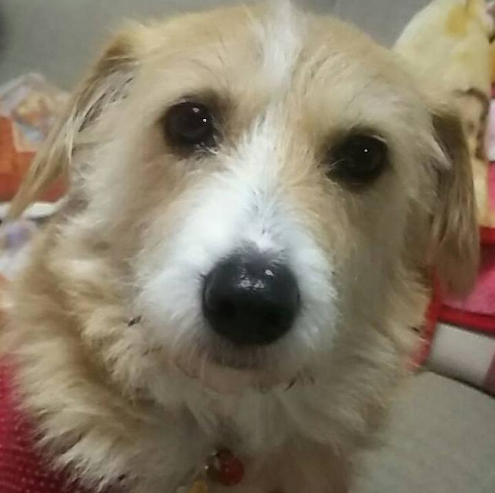 6e638aca 14cd 4d94 a243 1ac6f6c3d885