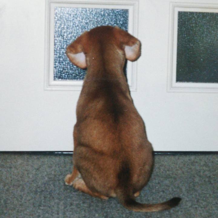 6e644f65 e79b 4aec 9769 2fcfc95e35f9