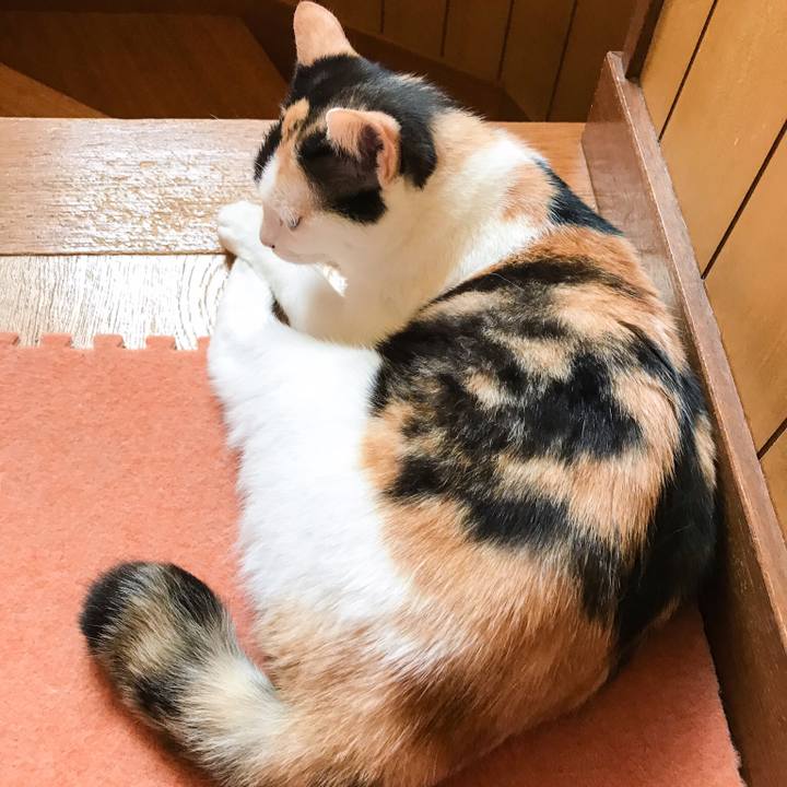 6e64e18a 5c2b 4898 aec0 ea695f34401d