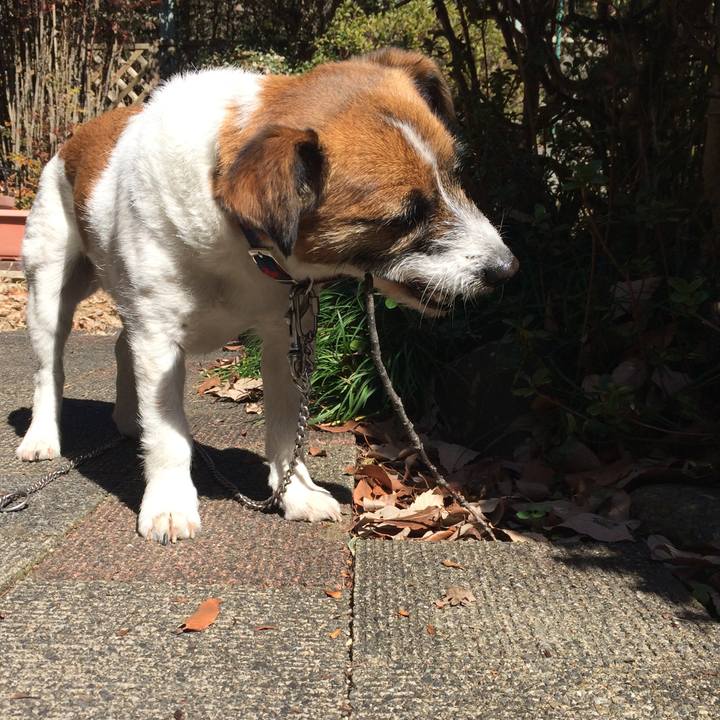 6e651454 314b 447c 81af 7b5ae394dc09