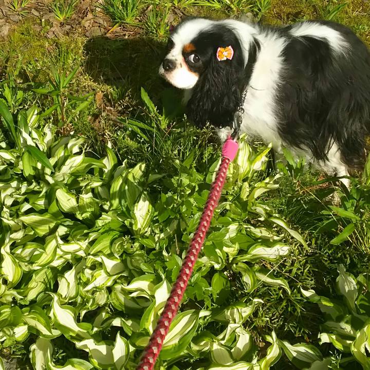 6e652157 45c8 47f1 b901 e43134368908