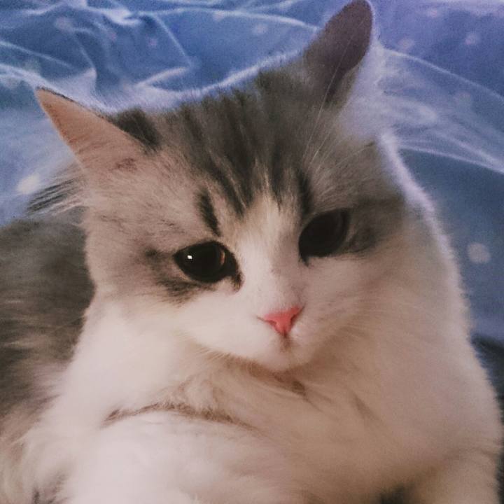 6e66c408 7cc9 46c3 9265 920dbd91b503