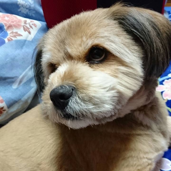 6e66cad5 fb43 4926 868c d7c40edea797