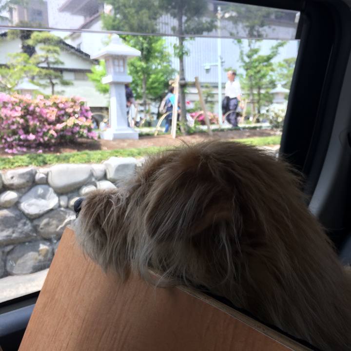 6e66cfb5 0bf8 462d 8ee2 5482a7a73492