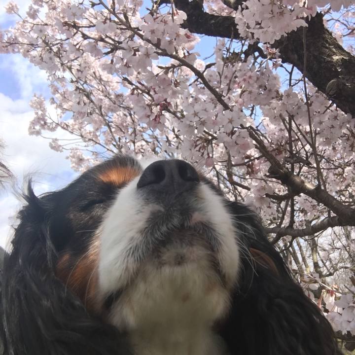 6e66fc68 aadf 4139 8330 2699e5315784