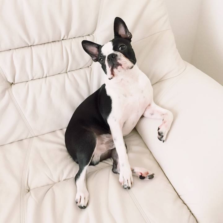 6e680f7f 74ed 48a8 8579 80775a2e5416