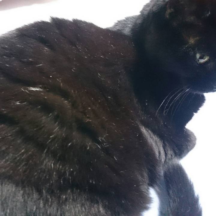 6e686665 cc59 4c09 bd09 7bb570320b8d