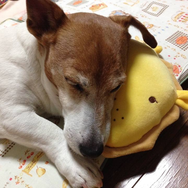 6e68bd8d 122b 4bd0 b3e2 c32463224175