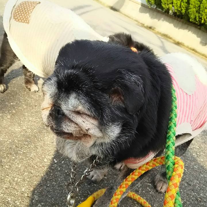 6e68c217 f3a9 4333 8a63 9f19c92db68a