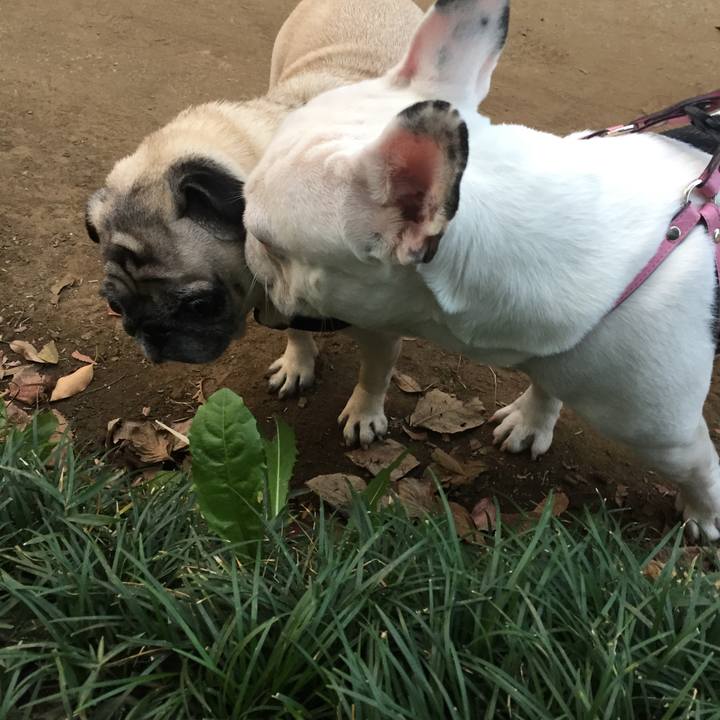 6e698bd0 75c2 4966 98c6 ae003496c1d3