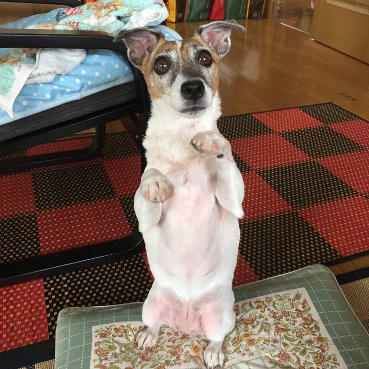 6e698e56 74e6 4697 8a51 8d01ccef438b