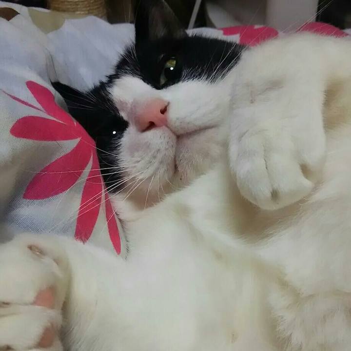 6e69d28d 37f2 43d1 bc8a a7ce6fcd3486