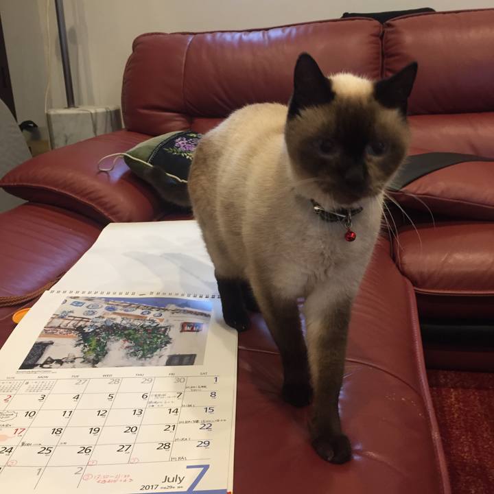 6e6a0498 8caa 4cf1 8231 b6544710e6a7