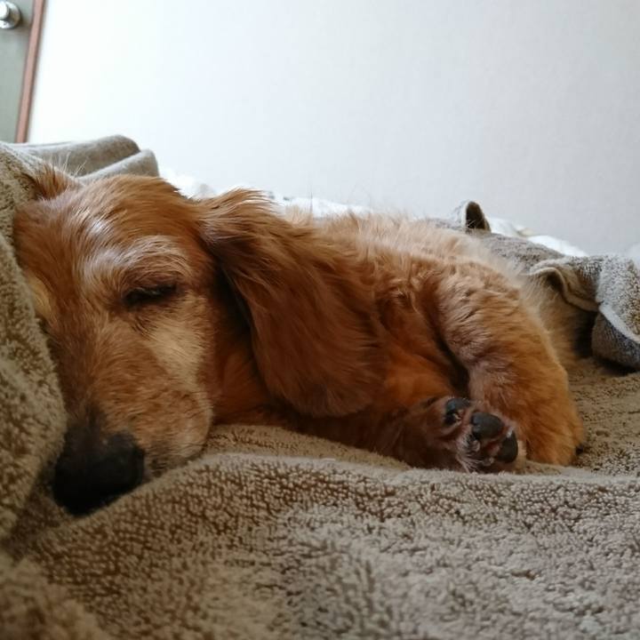 6e6a0d49 05b7 405b 968e 84e8624a6182