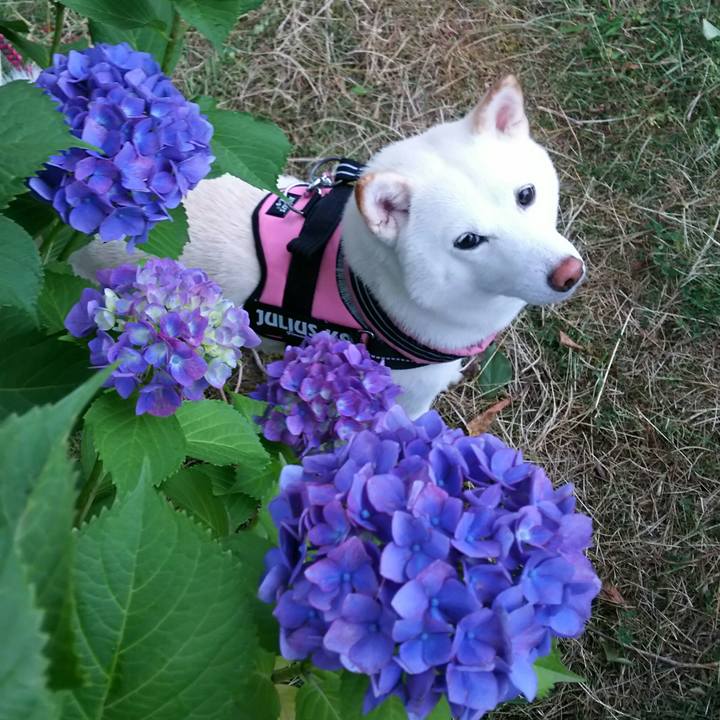 6e6a3522 fae9 4e03 ba6c 4a455b7911a7