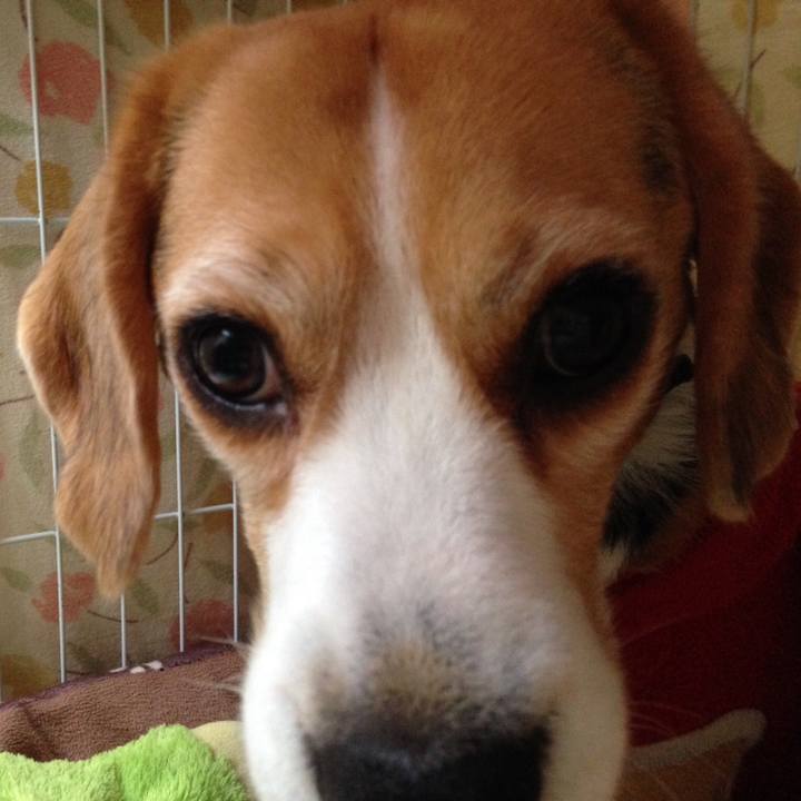 6e6c42a3 772c 4333 8e6c 7fe35f953eb5