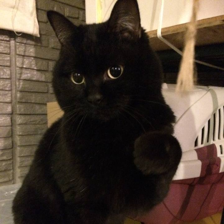 6e6c8095 aae0 48a1 845c 4034a6b82a3e