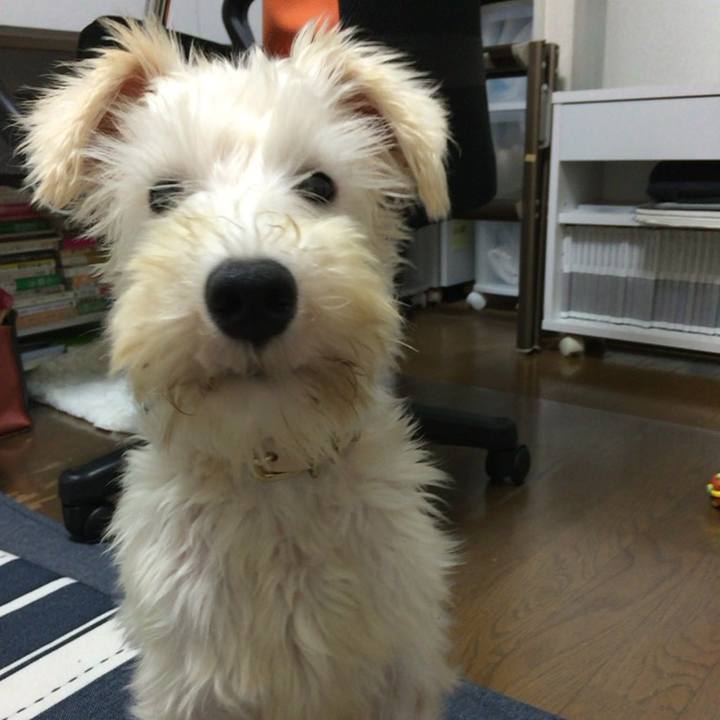 6e6cbab0 0811 499b 9c4c f8130ddaf2b9