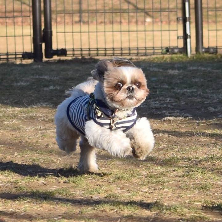 6e6d1723 2b9d 48ba 8009 66789d6ed5a6