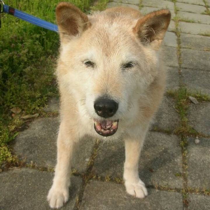 6e6d286c f886 4d36 b643 8f14aba4518f