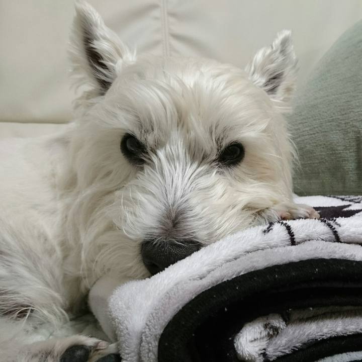 6e6e2ae8 0317 4f9a 884a c7faa91b19da