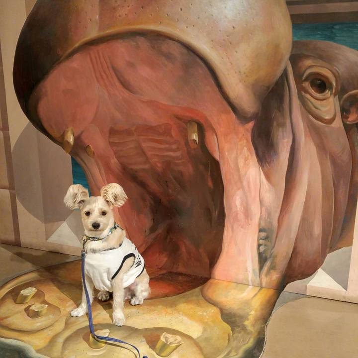 6e6e793f 81bf 4e8b a461 95e79c3372cc