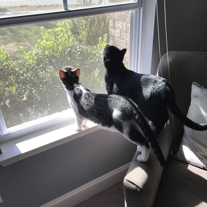 6e6e888b c1a7 4b70 9d79 91495d558f71