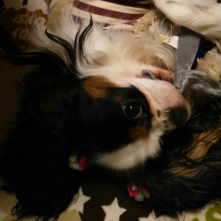 6e6ea86b afe8 4067 93b4 6229d67b4ab2