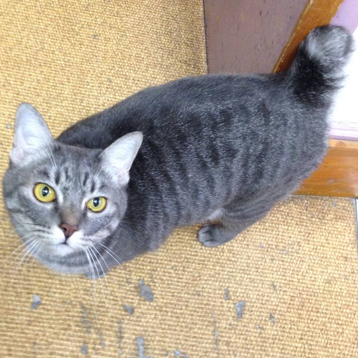 6e6f1e1d fbe9 47c1 8ac0 6ed451674036