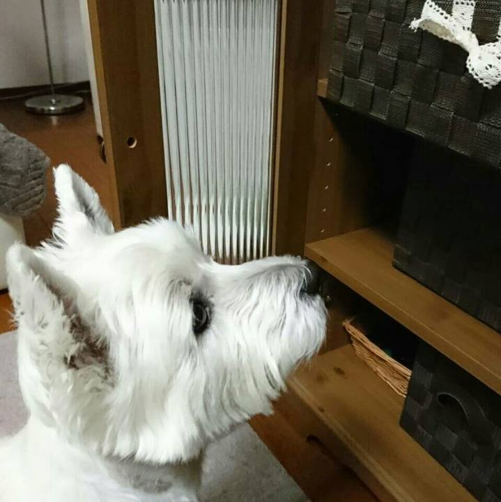 6e6fa0a9 f5d8 4f3d 90bd dfde32eaa3ee