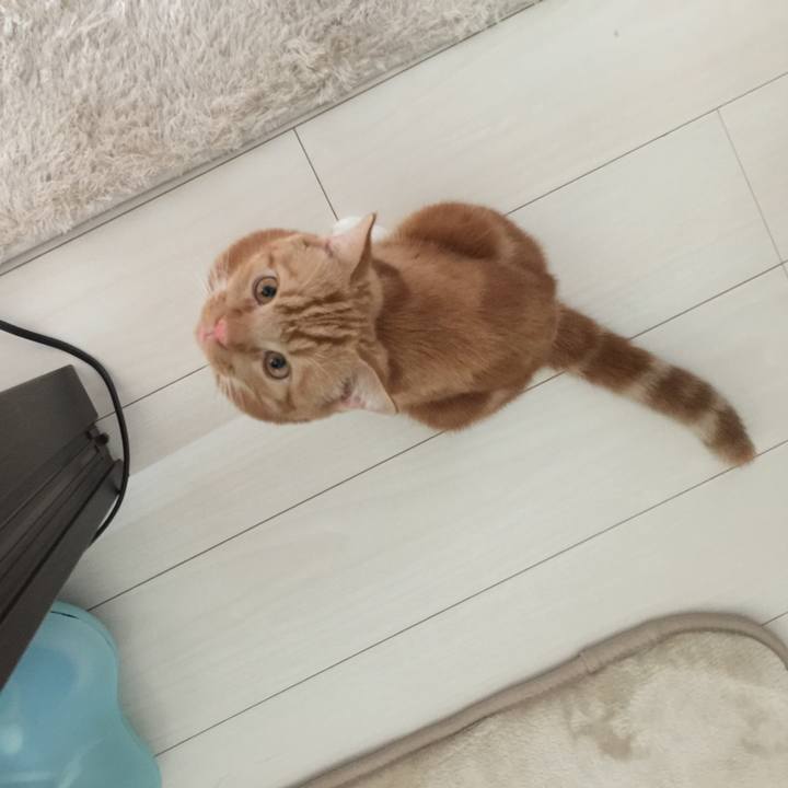 6e6fe634 35dd 4560 a209 579e88c8cc2e