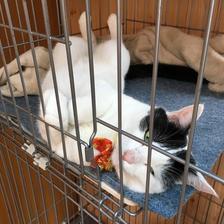 6e7021ee 7719 45ce 8a35 42d71b924139