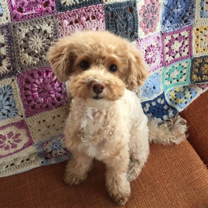 6e7025c2 e2a4 4685 abac ceb6d9f8cfb0