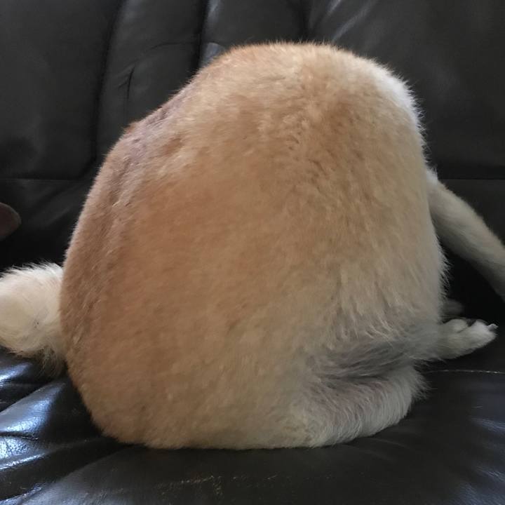 6e70fce2 2909 49b7 a5b4 17fe8a237cd2