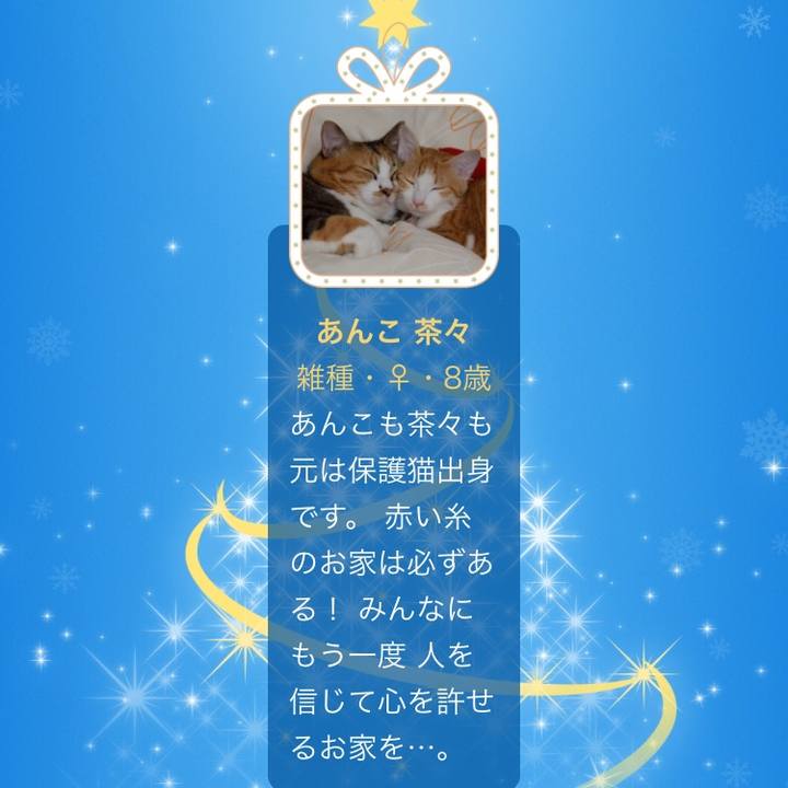 6e7101b2 f907 4697 92fb e792def319c6