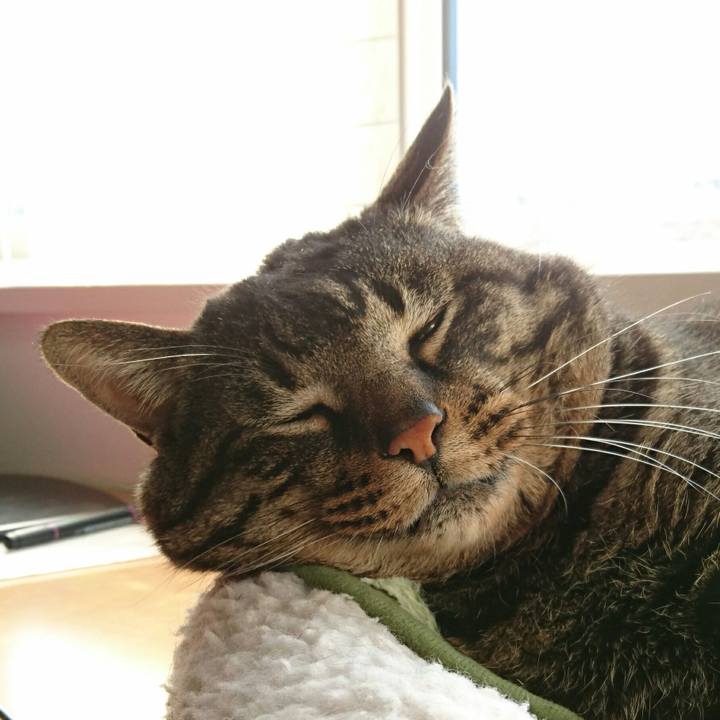 6e713f51 7197 4928 b301 2da04e657dfc