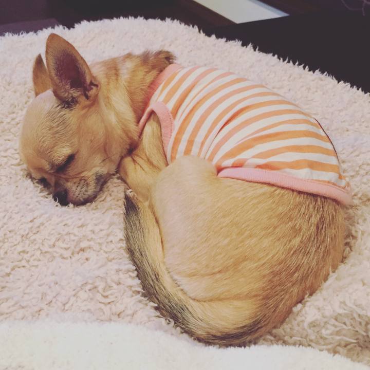 6e7143ff 42a7 4dc8 89a4 3aaefbebac65